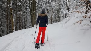 Turismo montano invernale: la magia delle ciaspolate e delle mete innevate